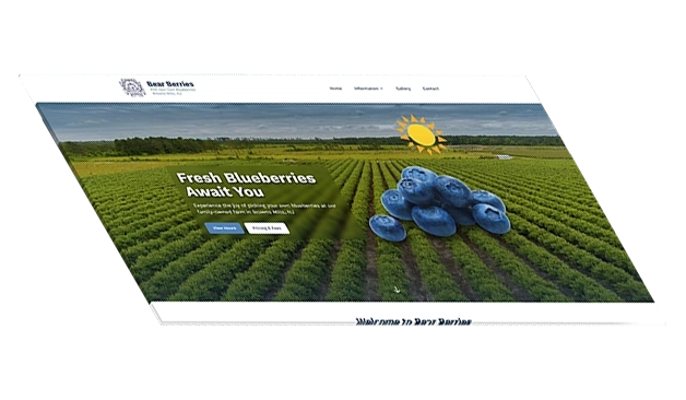 Cherry Hill Web Design Services - Samu Interactive